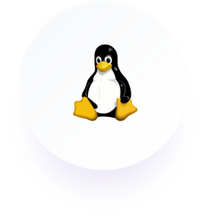 linux 成员认证