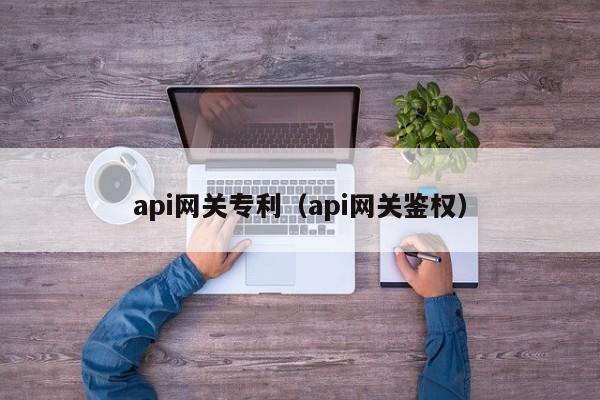 api网关专利（api网关鉴权）